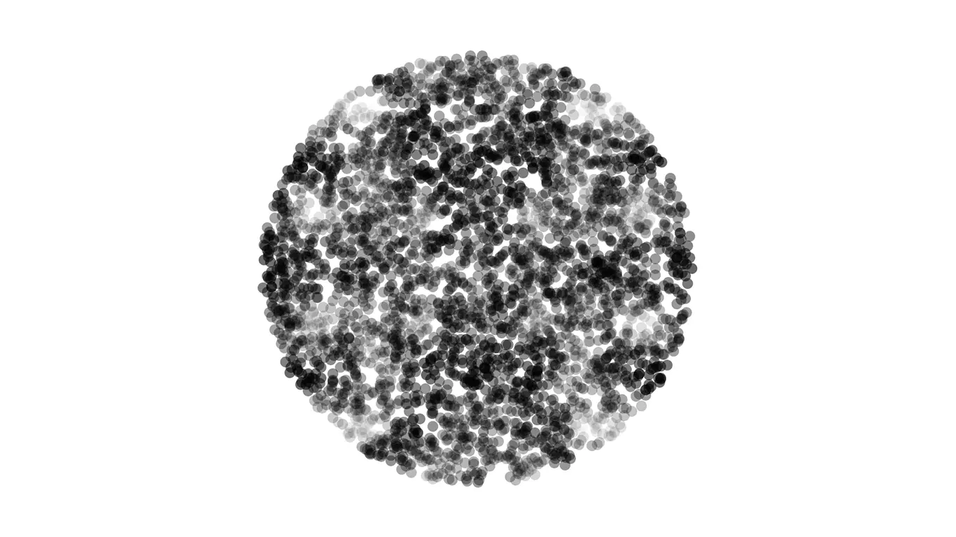 Bacteria