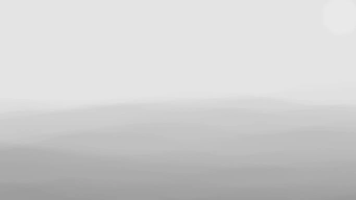 Fog