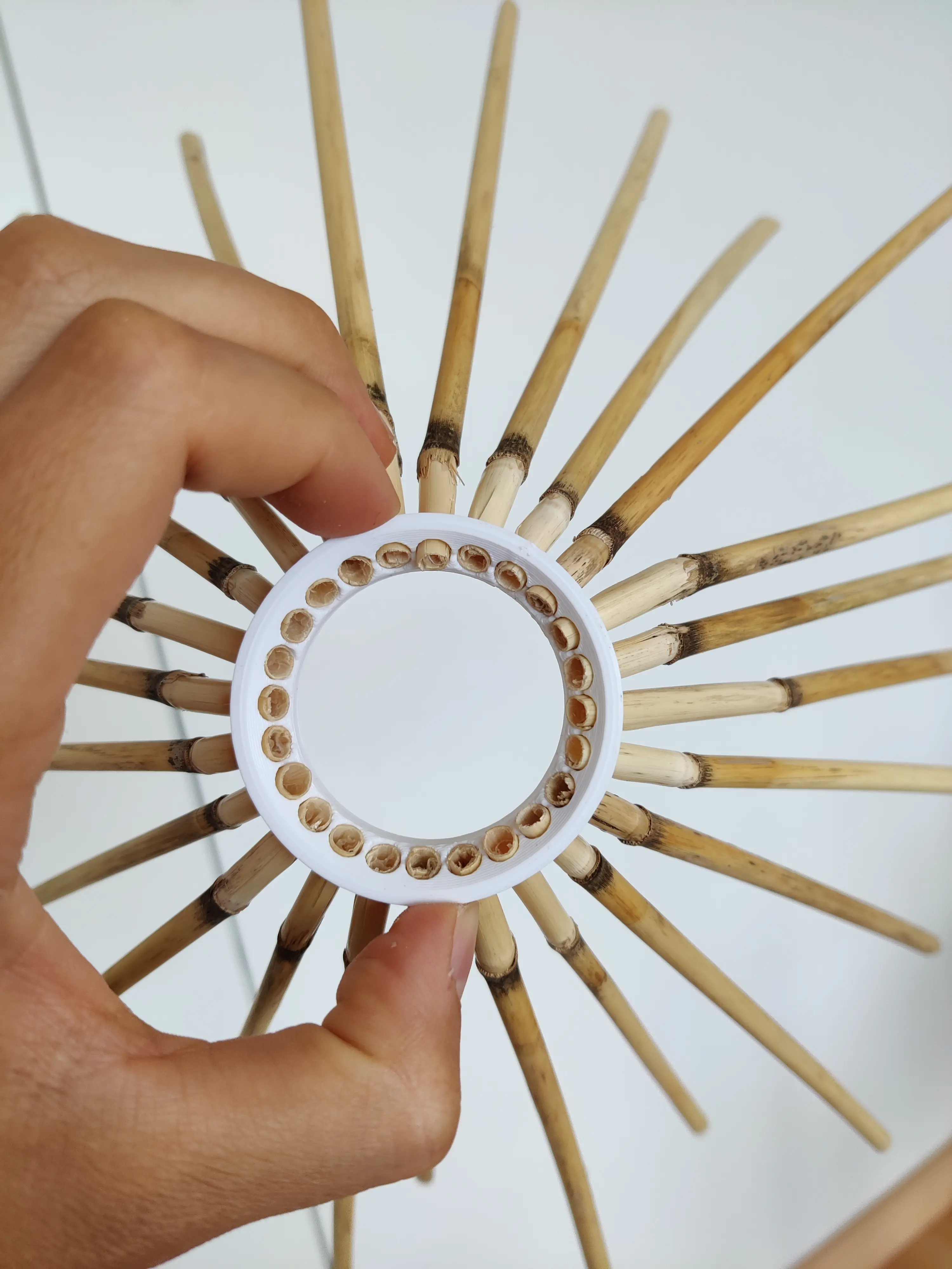 Lamp Process 1
