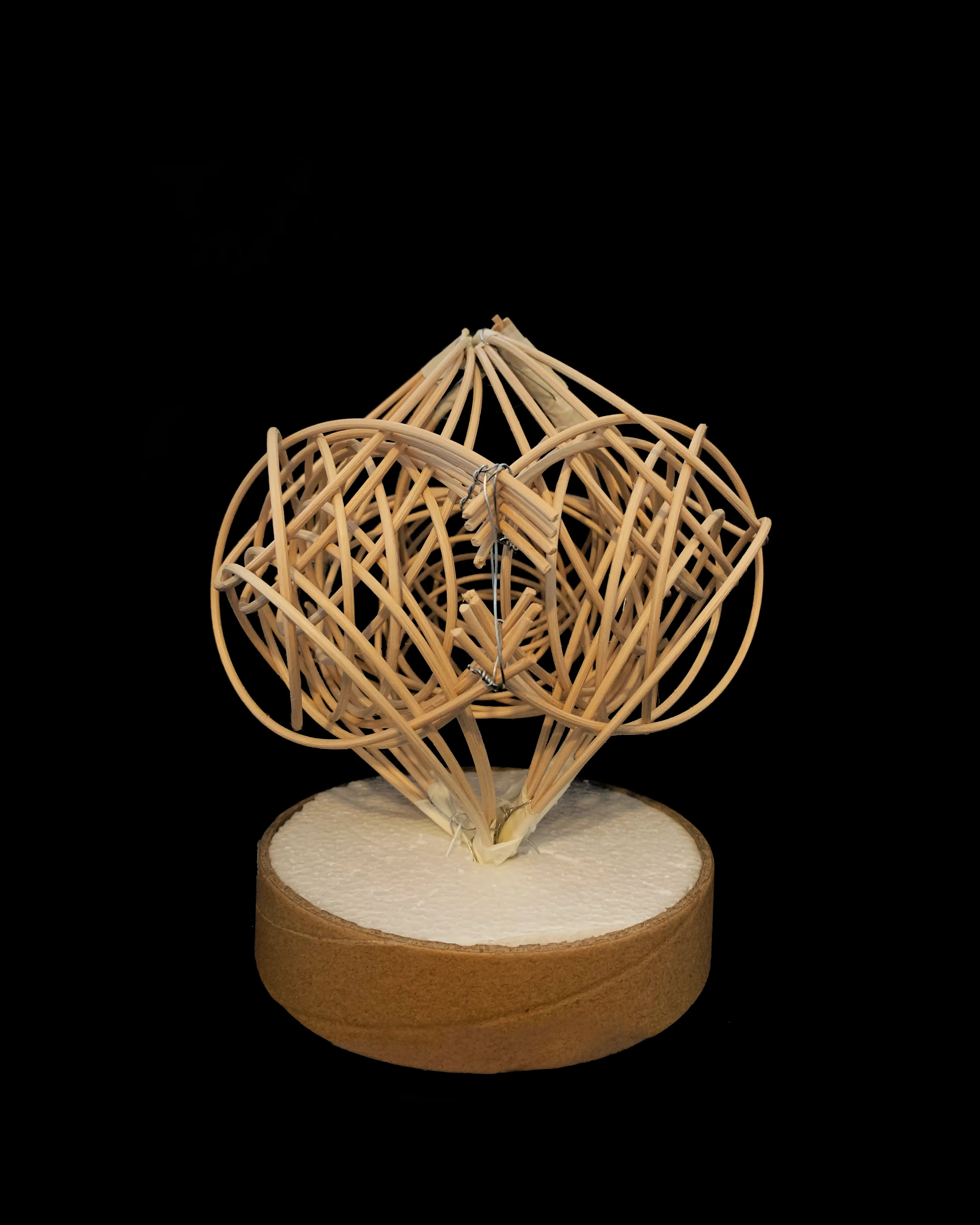 Trillium Small Prototype