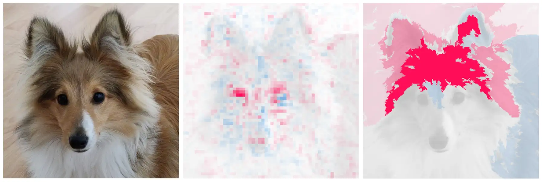 Explainable AI