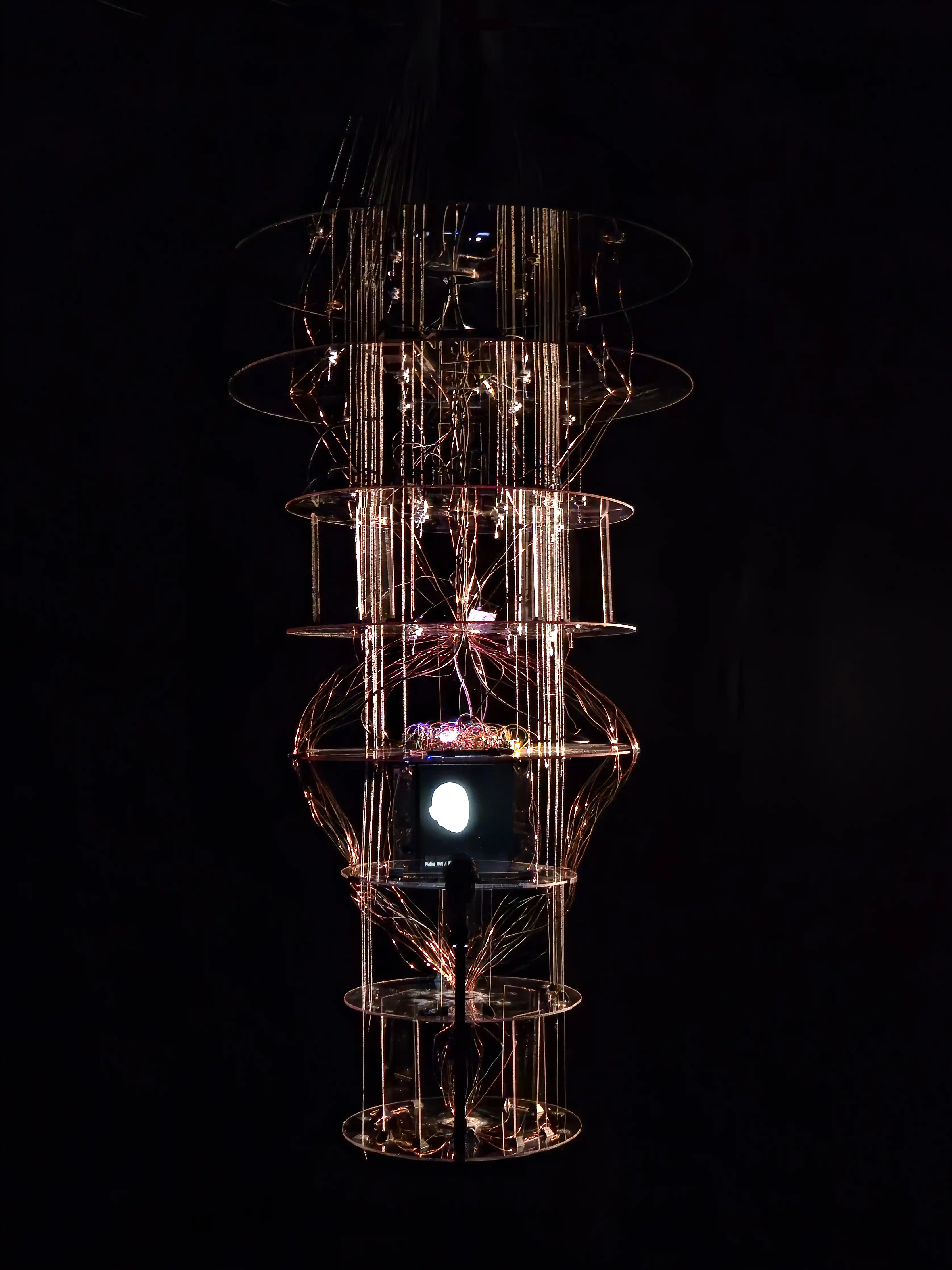 The Oracle 1