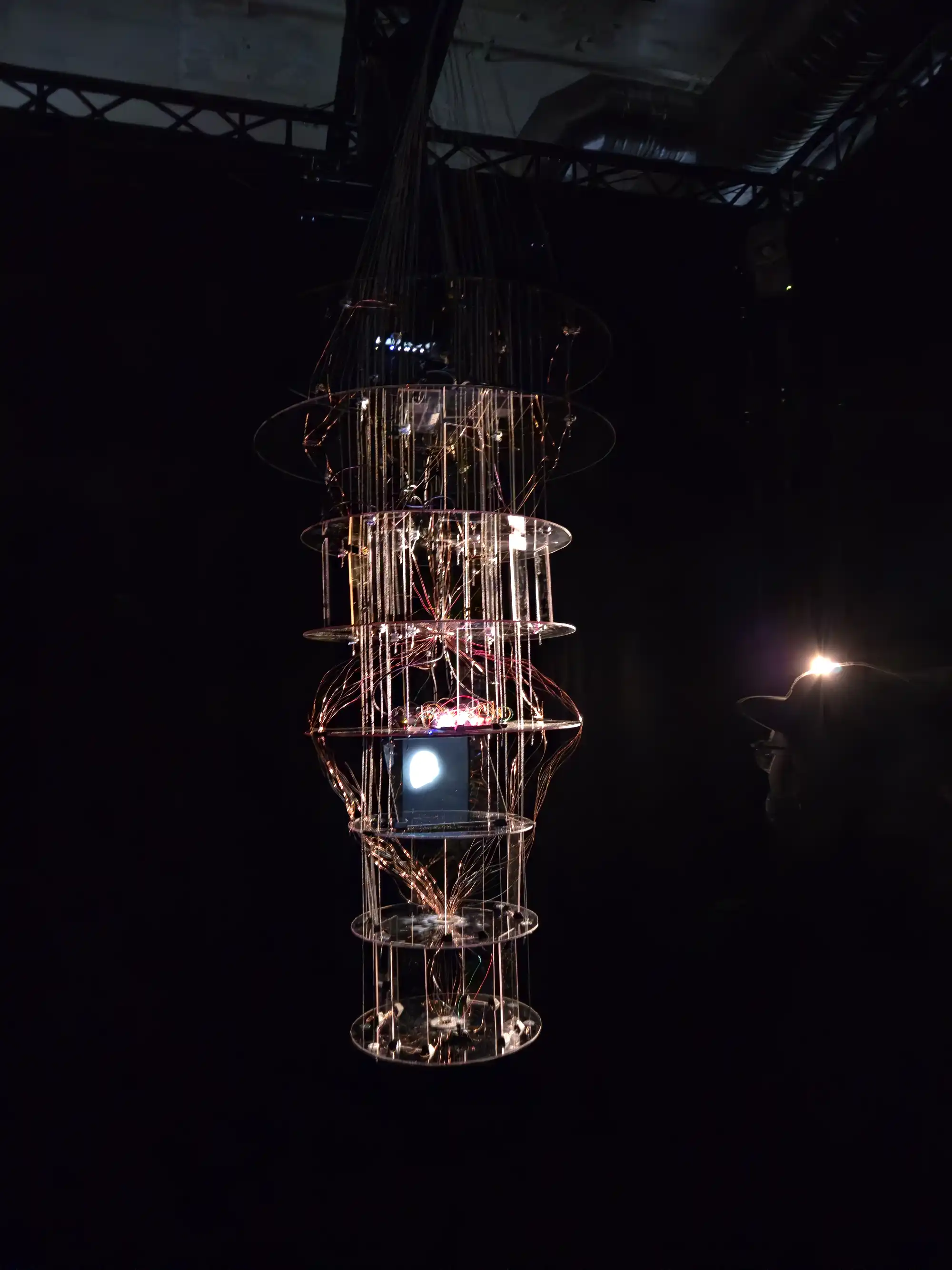 The Oracle 14