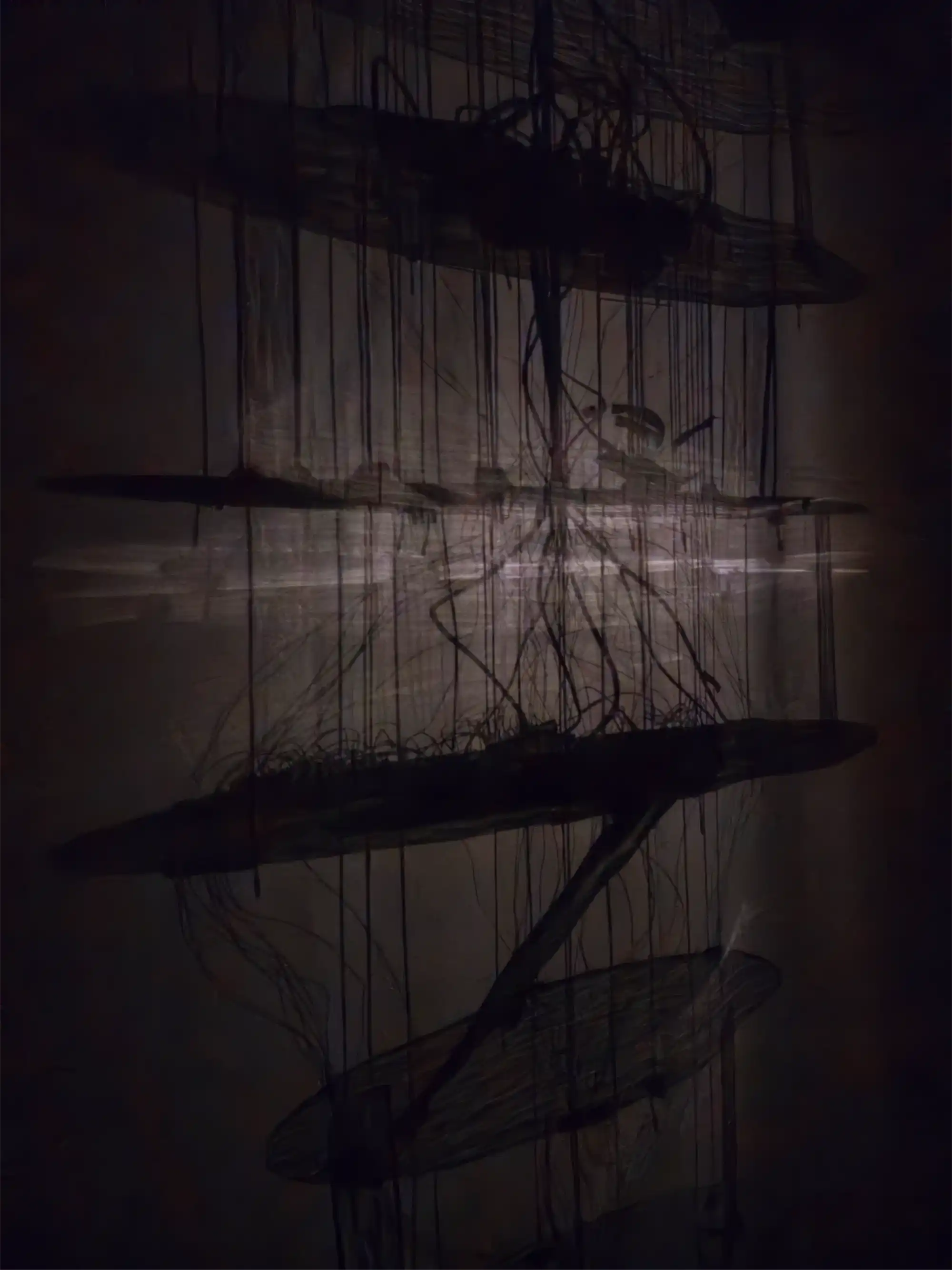 The Oracle 15