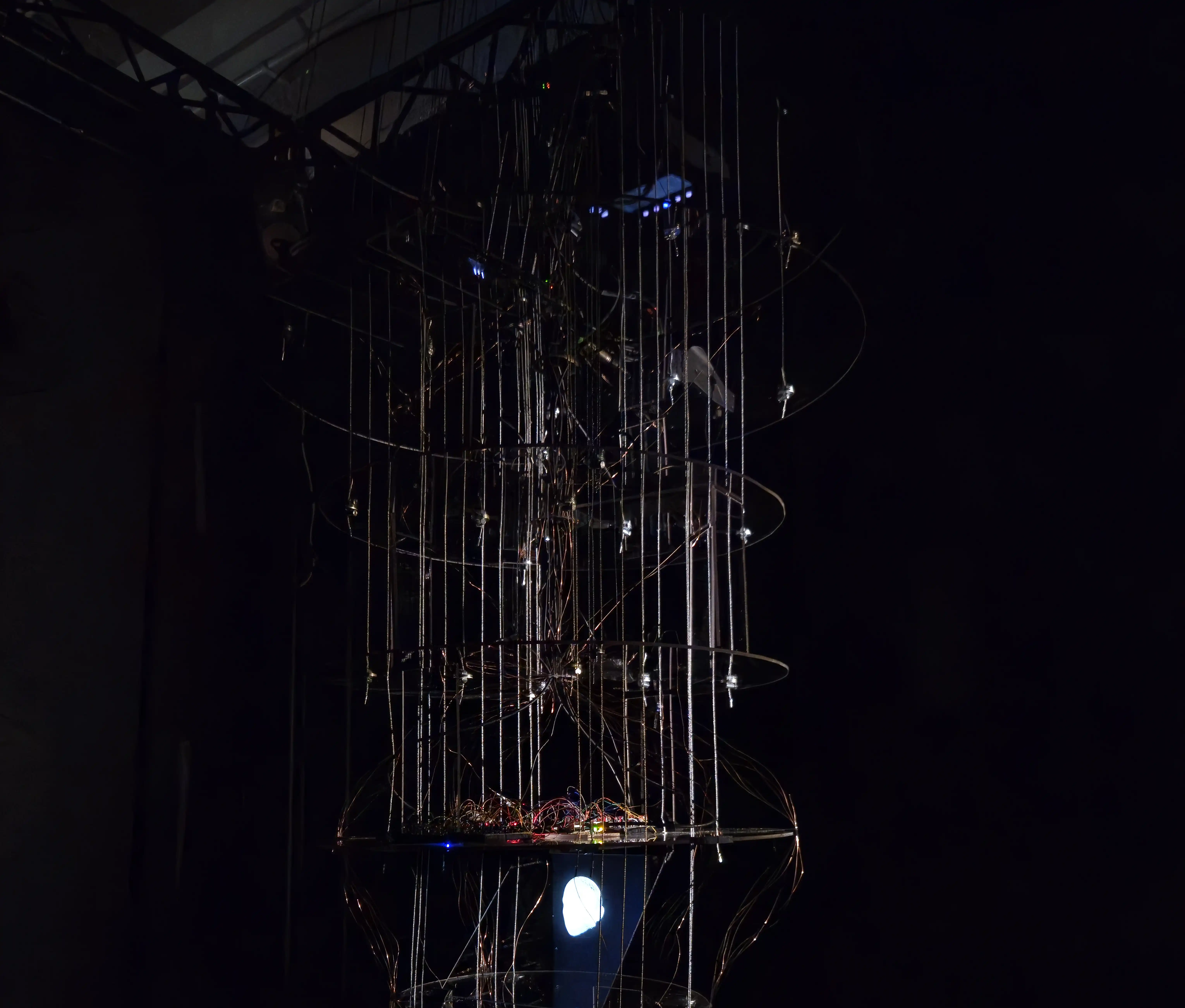 The Oracle 2